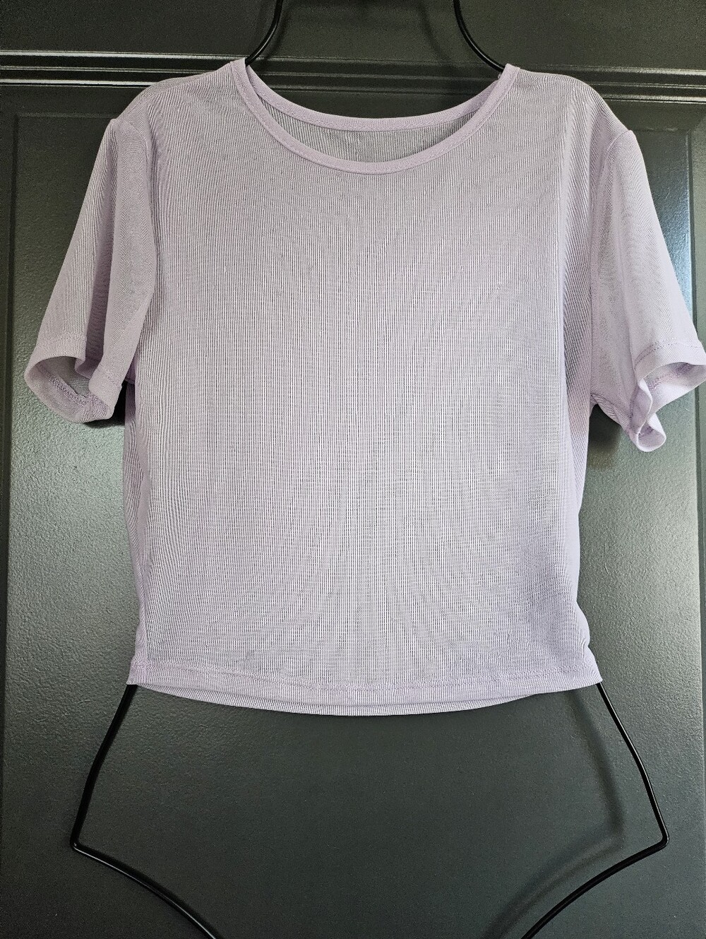 Lavender Mesh Crop Top